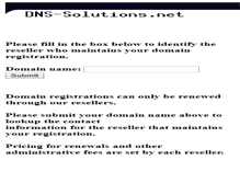 Tablet Screenshot of dns-solutions.net